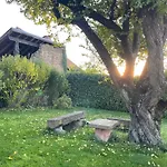 Clos Suzette - De Groupe - Maison De - *