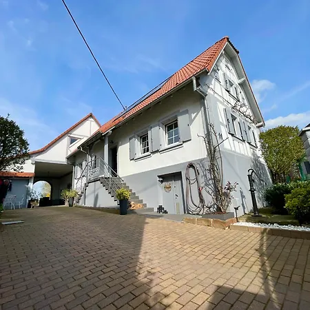 Clos Suzette - De Groupe - Maison De - * Kirrwiller