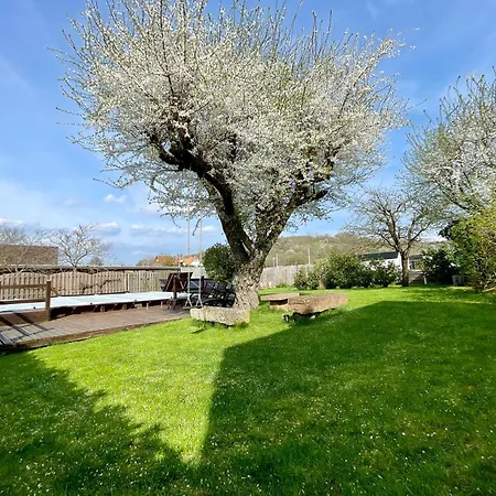 Clos Suzette - De Groupe - Maison De - Dom wakacyjny Kirrwiller