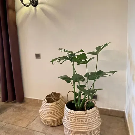 Clos Suzette - De Groupe - Maison De - *