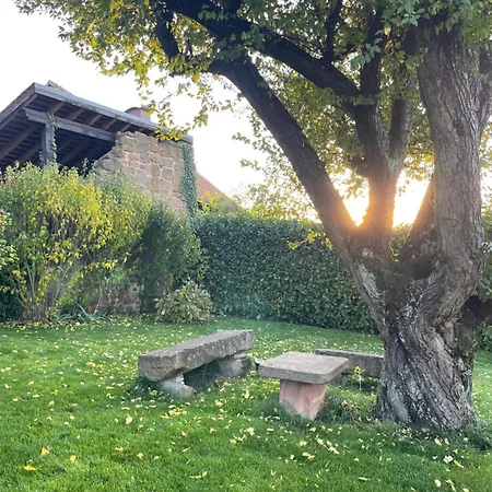 Clos Suzette - De Groupe - Maison De - *