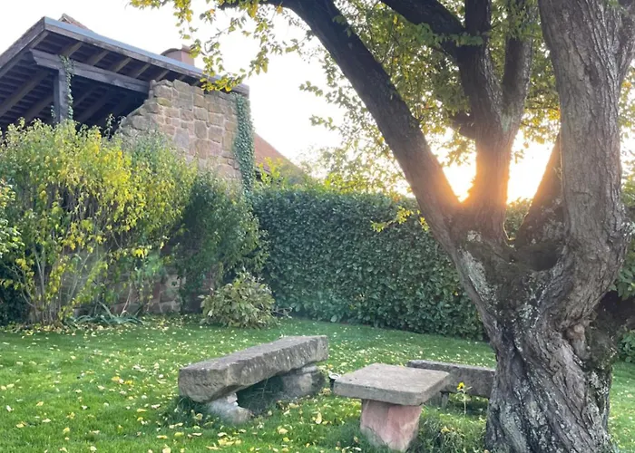 Clos Suzette - De Groupe - Maison De - *